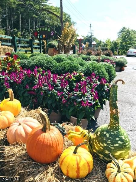 Sandyston Twp., NJ 07851,187 Us Highway 206