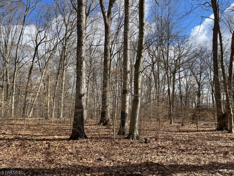 Harding Twp., NJ 07976,31 Sand Spring Ln