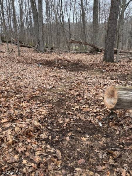 Lafayette Twp., NJ 07848,76 Monroe Rd