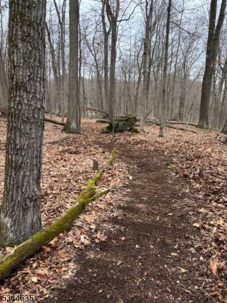 Lafayette Twp., NJ 07848,76 Monroe Rd