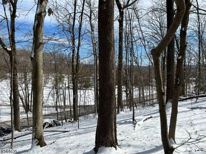 Lafayette Twp., NJ 07848,76 Monroe Rd