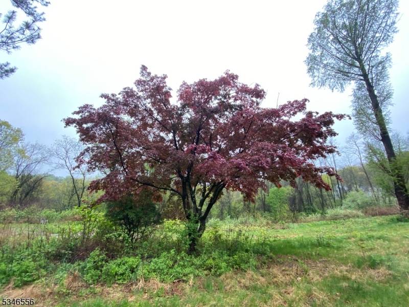 Washington Twp., NJ 07853,197 E Mill Rd