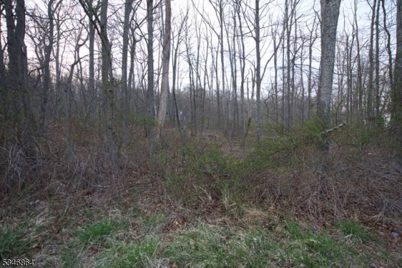 Newton Town, NJ 07860,68 W Shore Dr