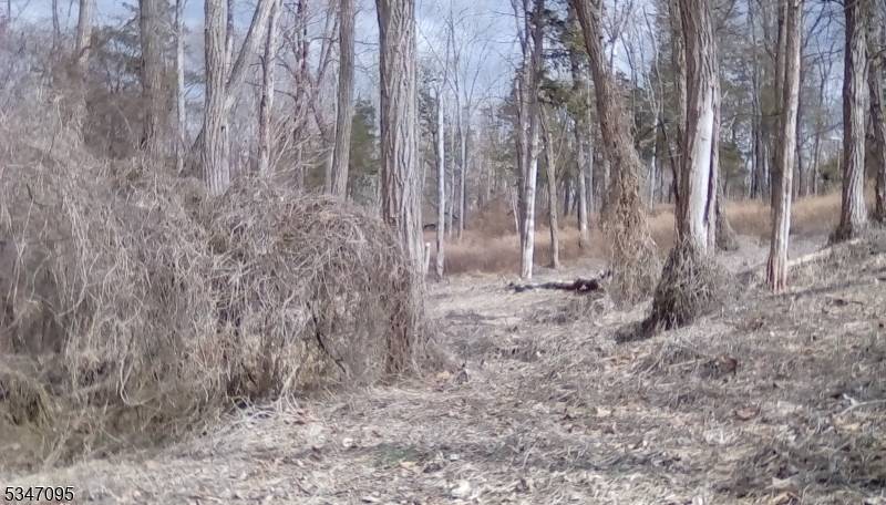 Hope Twp., NJ 07825,135 N Locust Lake Rd