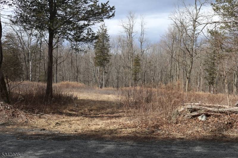 Hope Twp., NJ 07825,135 N Locust Lake Rd