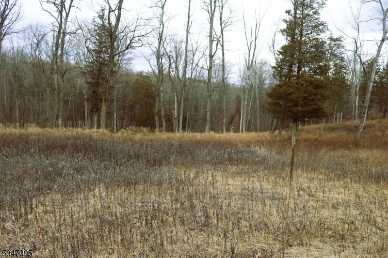 Hope Twp., NJ 07825,135 N Locust Lake Rd