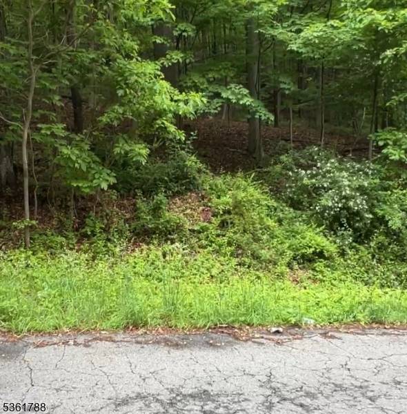 Independence Twp., NJ 07840,34 Ryan Rd