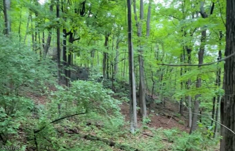 Independence Twp., NJ 07840,34 Ryan Rd