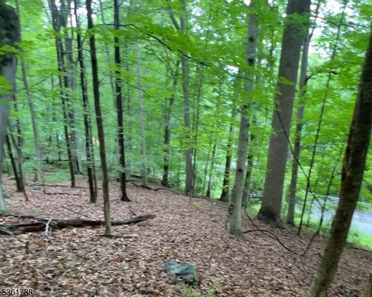 Independence Twp., NJ 07840,34 Ryan Rd