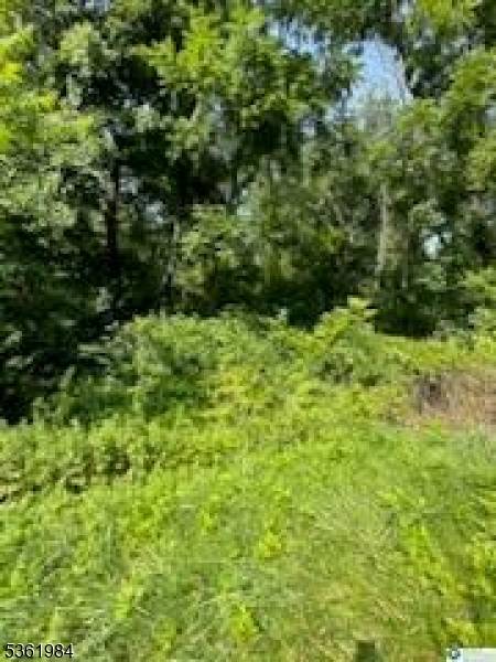 Pohatcong Twp., NJ 08865,80-84 Route 519