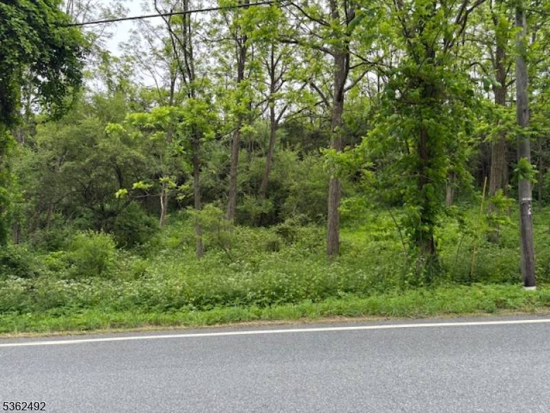 Hope Twp., NJ 07825,522 Delaware Rd