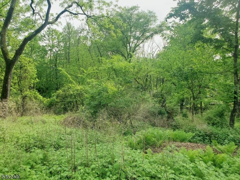 High Bridge Boro, NJ 08829,0 Beavers Street