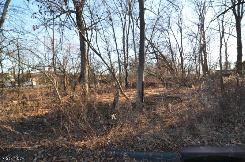 Flemington Boro, NJ 08822,12 Corcoran St