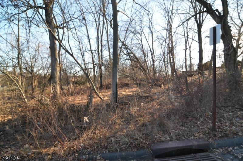 Flemington Boro, NJ 08822,12 Corcoran St