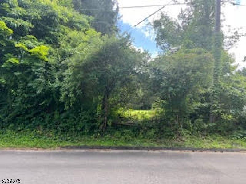 Mendham Twp., NJ 07869,67 Woodland Rd