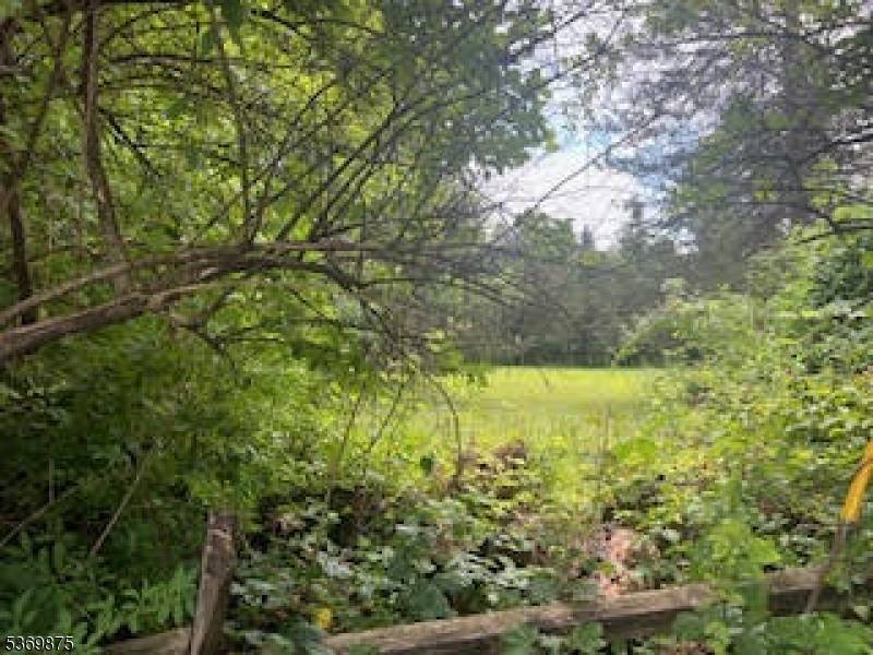 Mendham Twp., NJ 07869,67 Woodland Rd