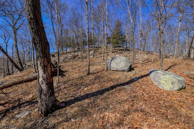 Ringwood Boro, NJ 07456,68 Magee Rd