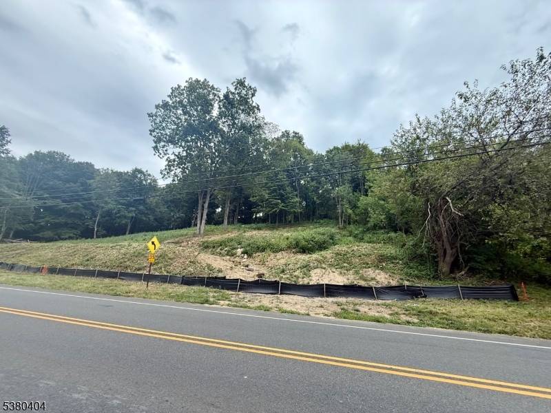 Franklin Boro, NJ 07416,111 Munsonhurst Rd