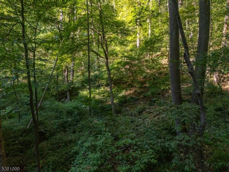 Holland Twp., NJ 08848,00 Sweet Hollow Road