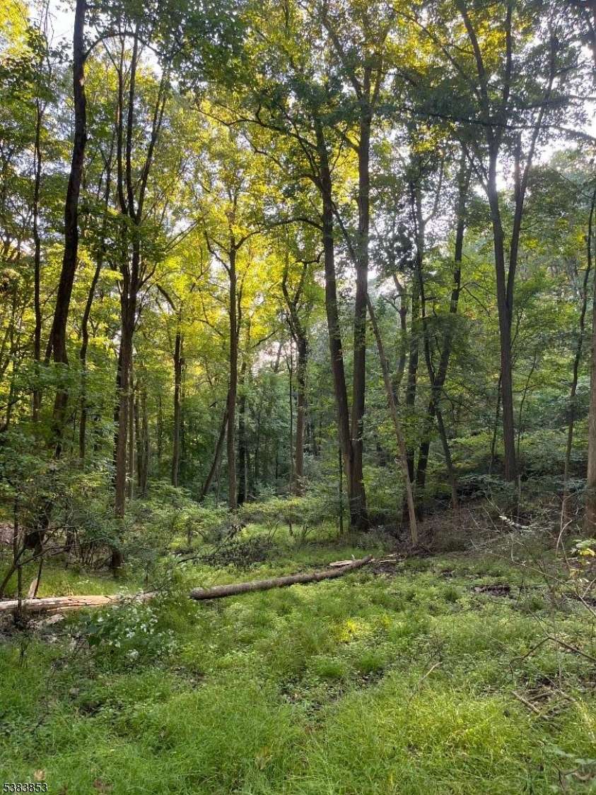 Holland Twp., NJ 08848,N/A Gravel Hill