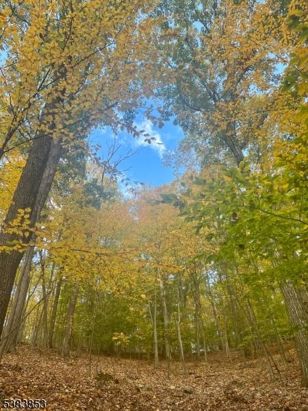 Holland Twp., NJ 08848,N/A Gravel Hill