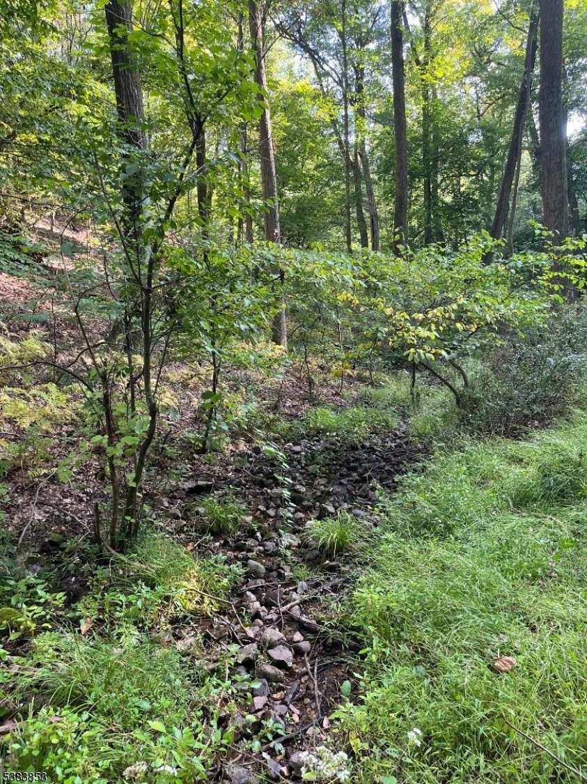 Holland Twp., NJ 08848,N/A Gravel Hill