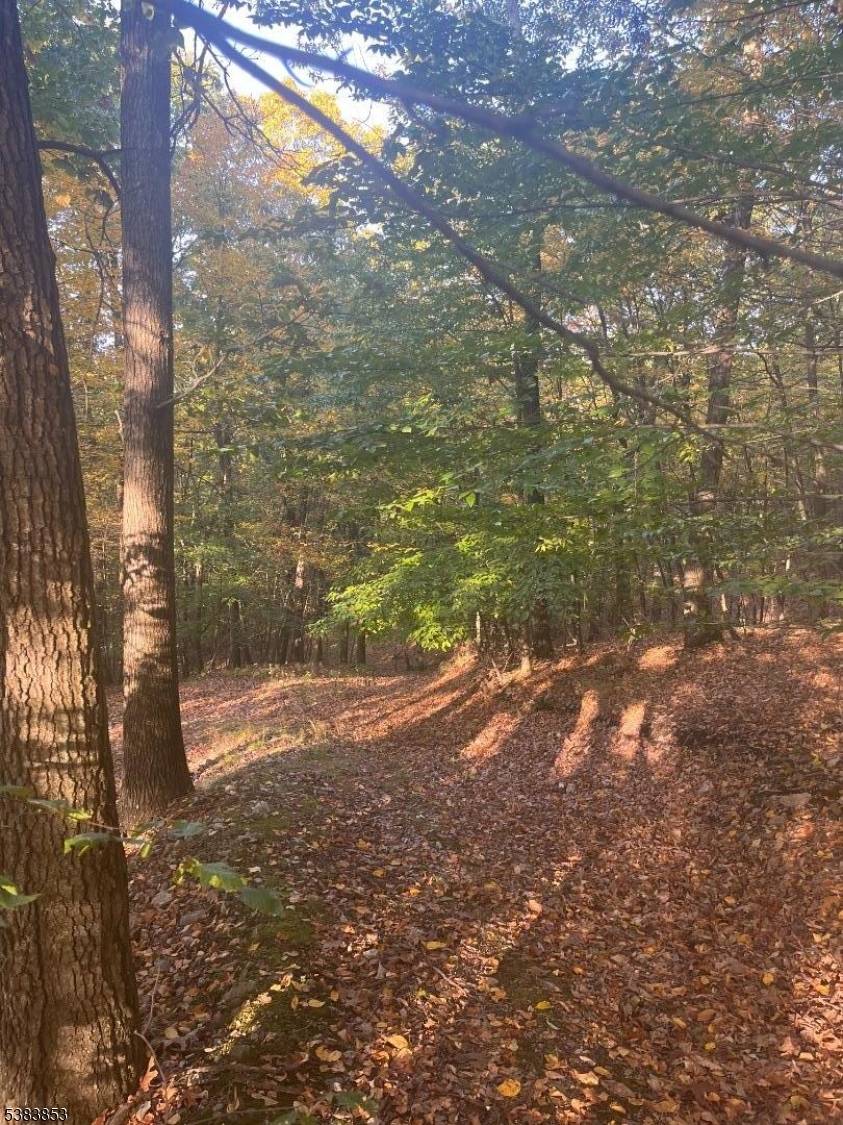 Holland Twp., NJ 08848,N/A Gravel Hill