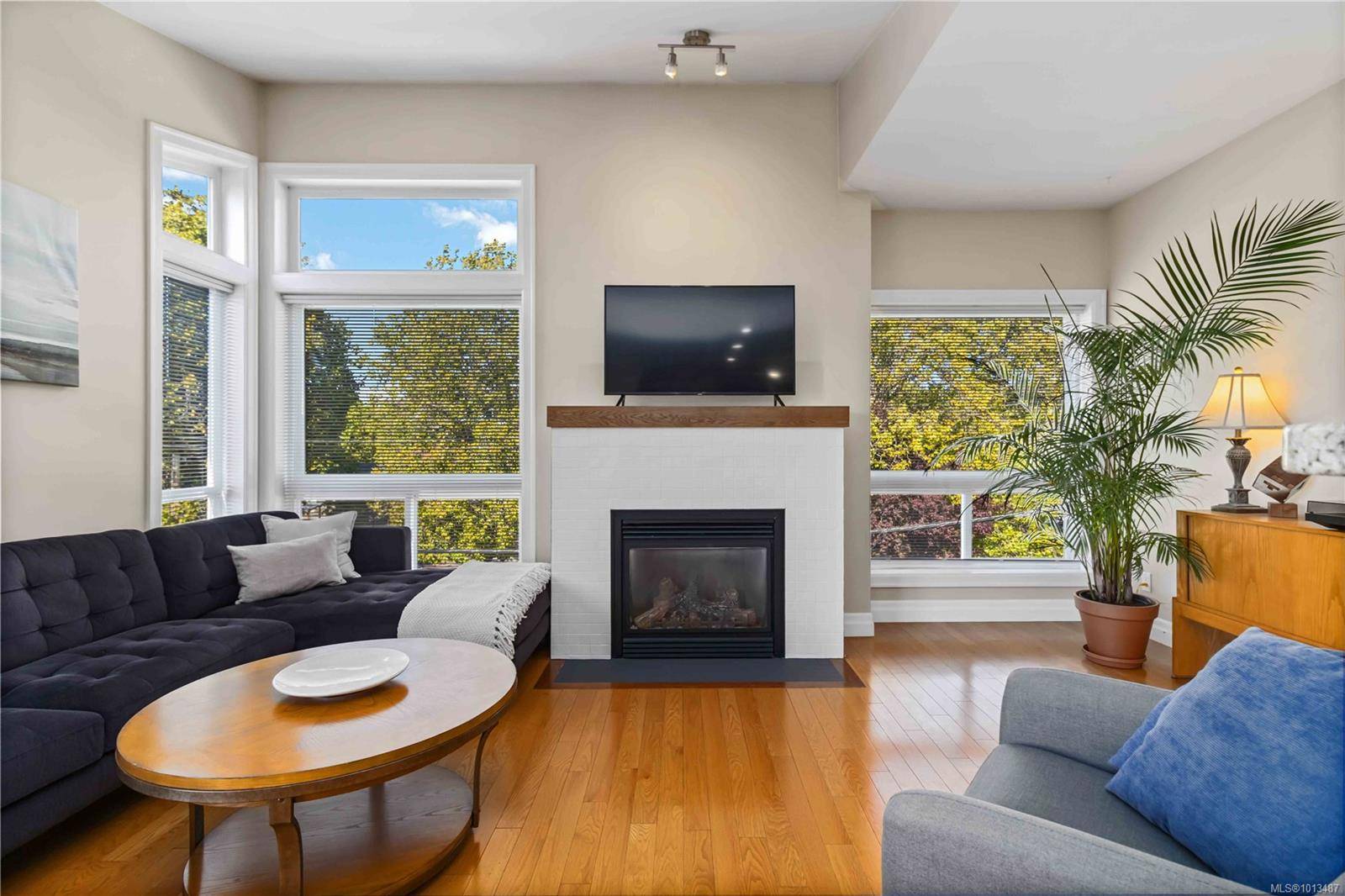 Victoria, BC V8S 1G9,1827 Fairfield Rd #4