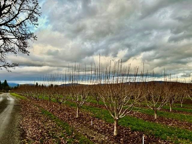 Hood River, OR 97031,4100 PORTLAND DR