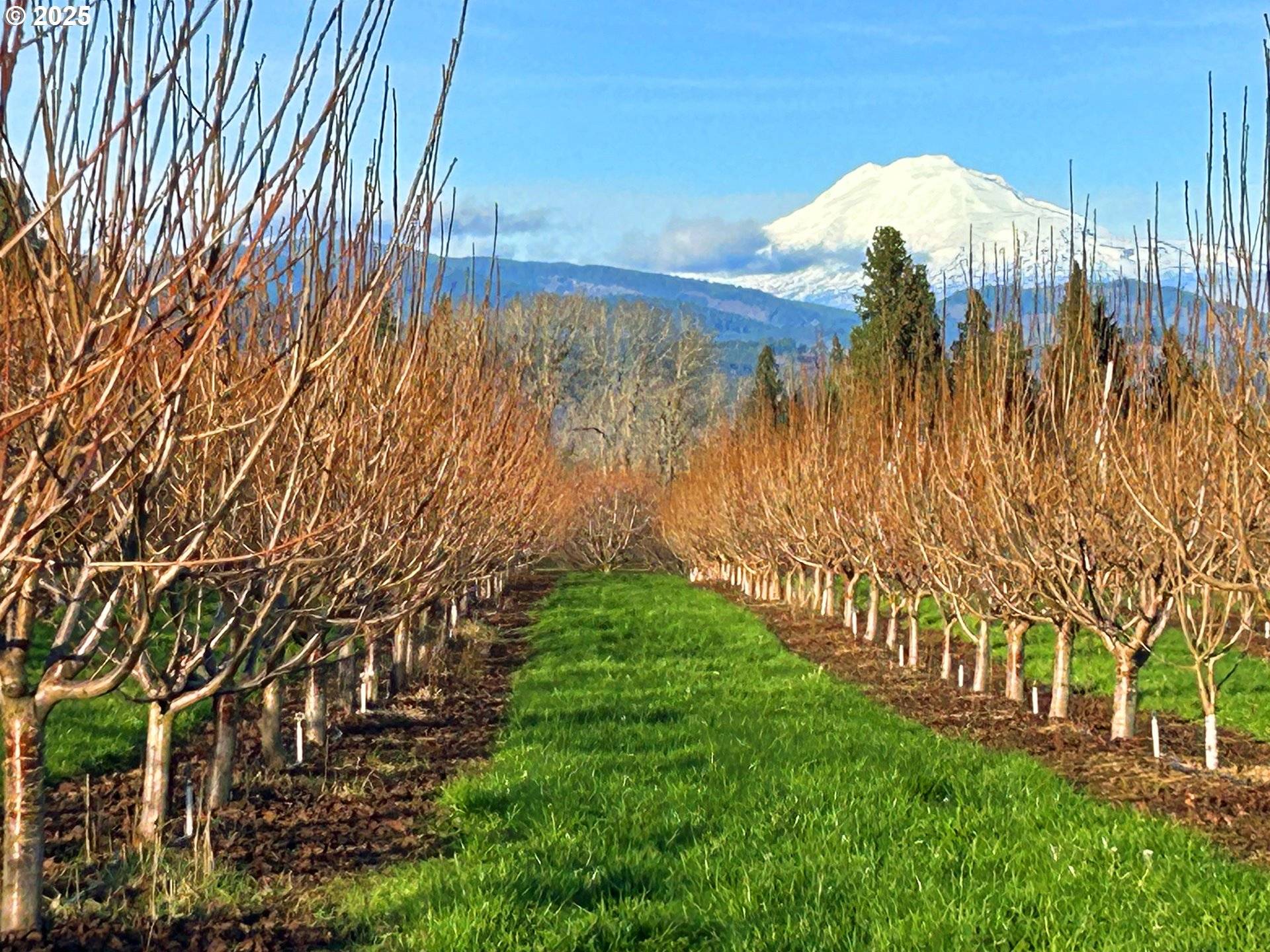 Hood River, OR 97031,4100 PORTLAND DR