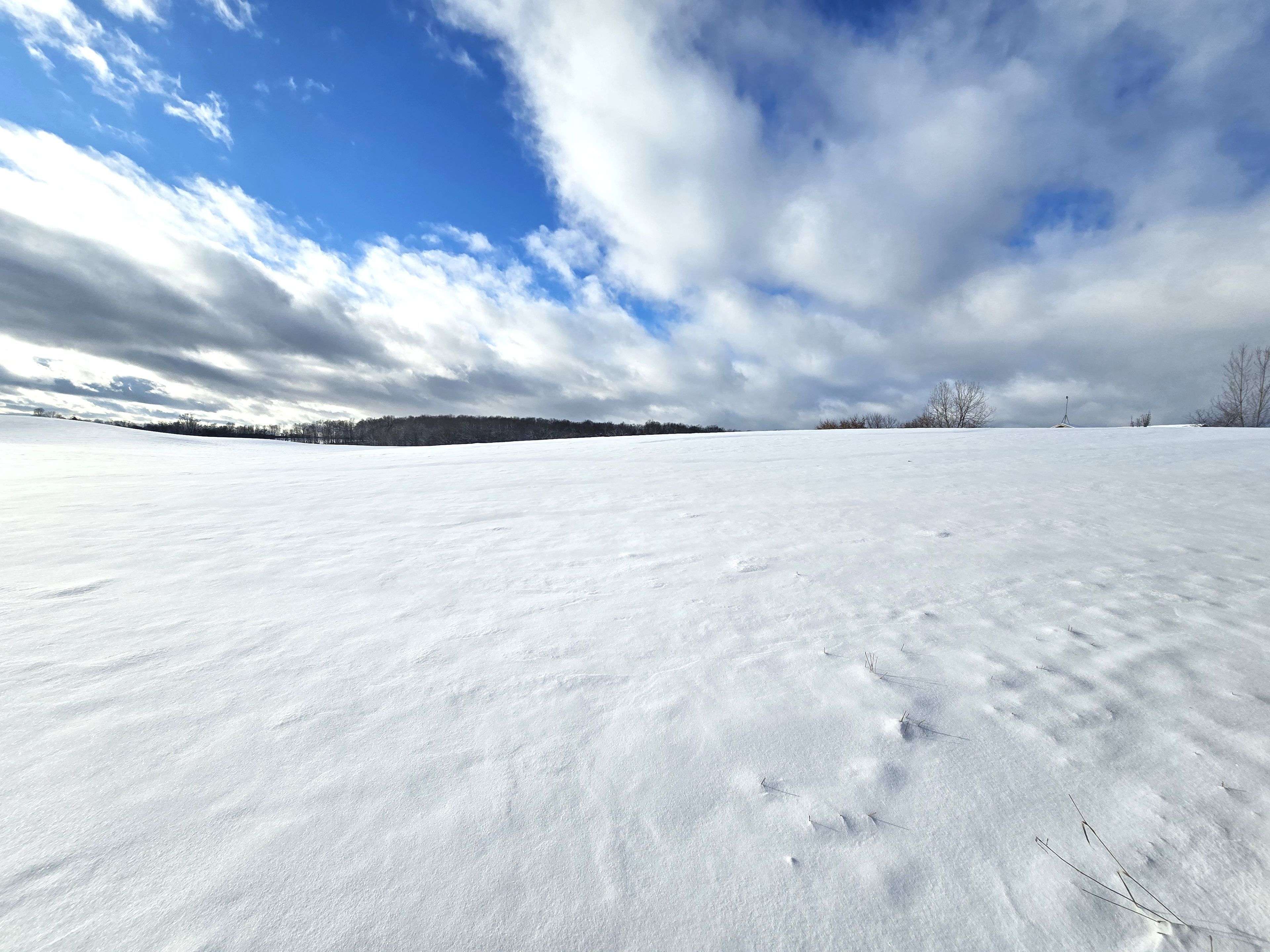 Belleville, ON K0K 2Y0,0 Willet RD