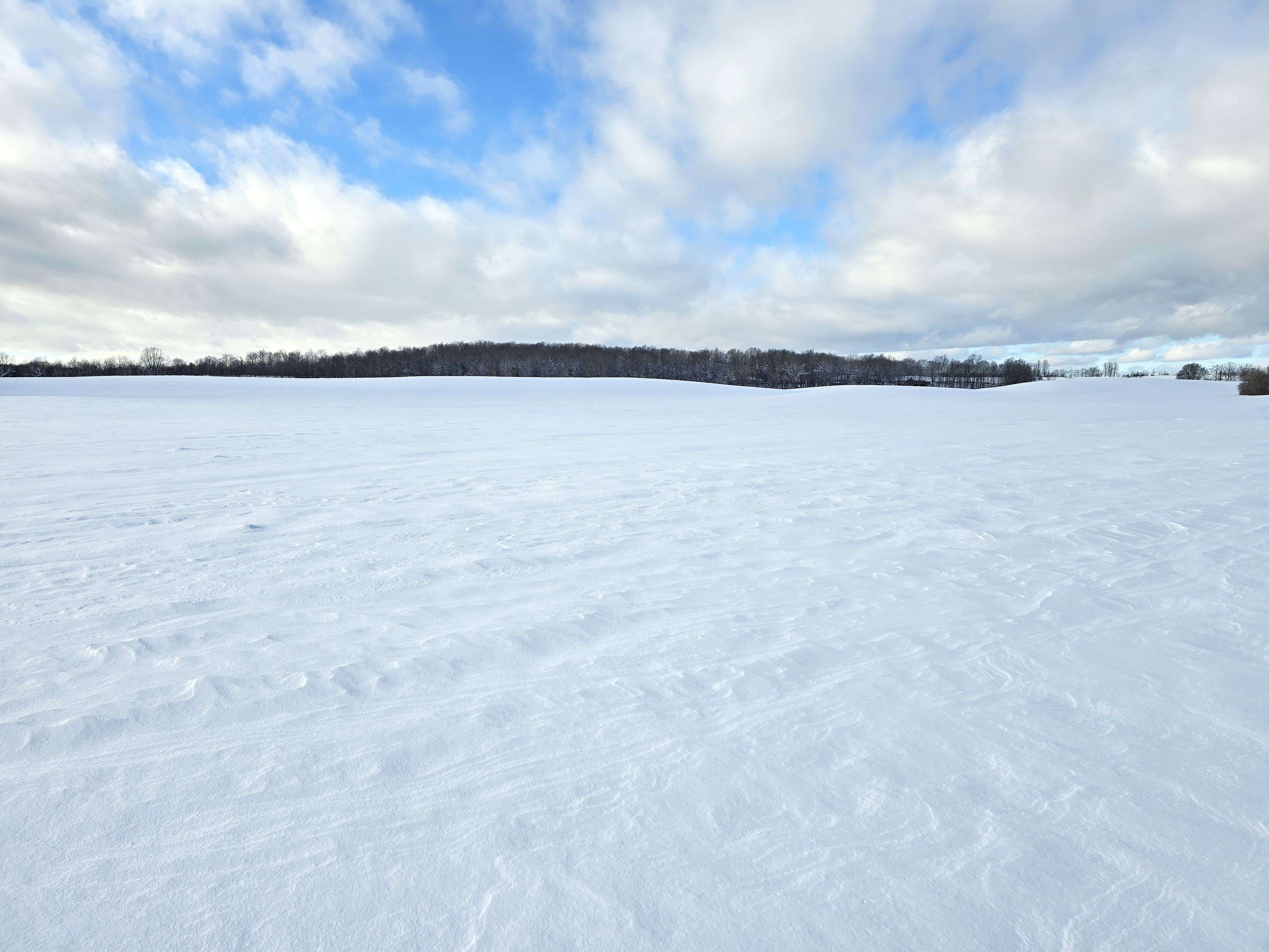 Belleville, ON K0K 2Y0,0 Willet RD