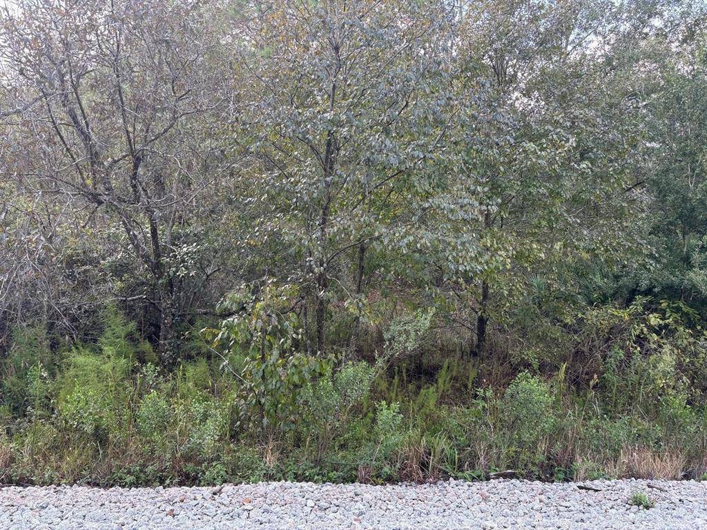 Kathleen, FL 33849,0 County RD 54 E