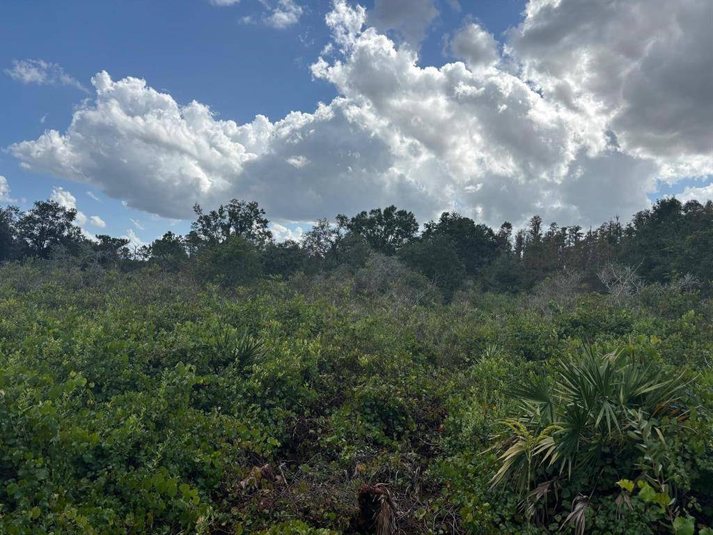 Kathleen, FL 33849,0 County RD 54 E