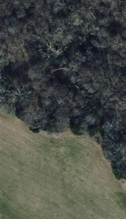 Bonham, TX 75418,TBD LOT 1 County Road 2005