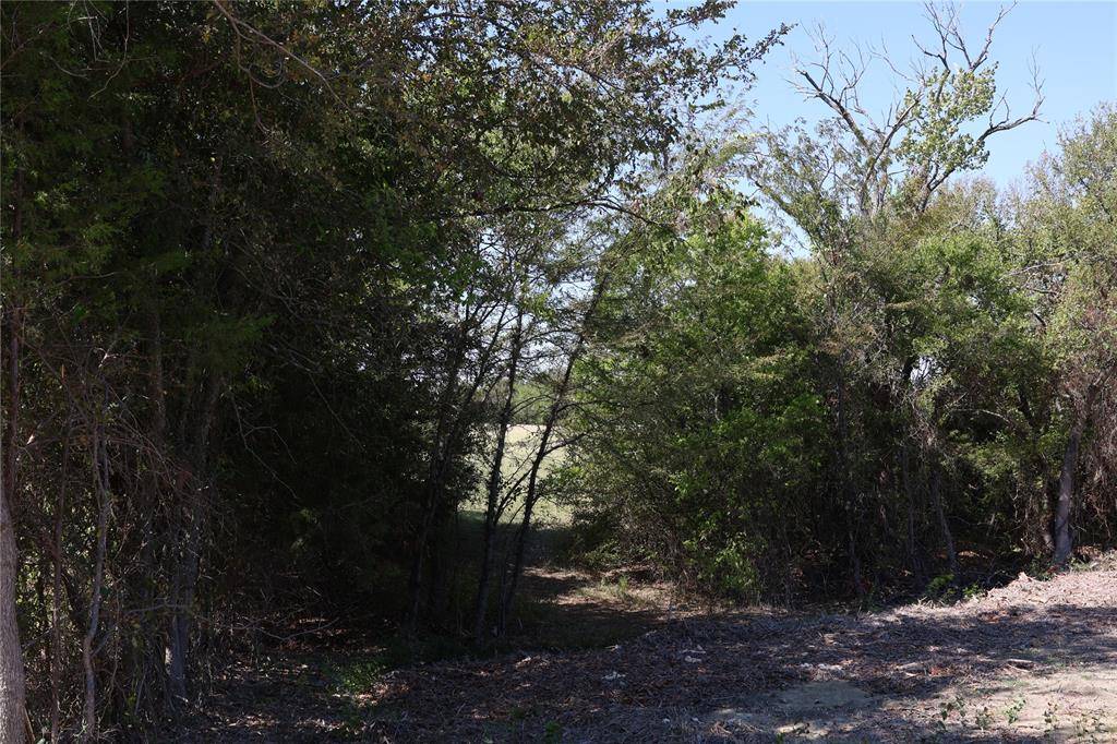 Bonham, TX 75418,TBD LOT 1 County Road 2005
