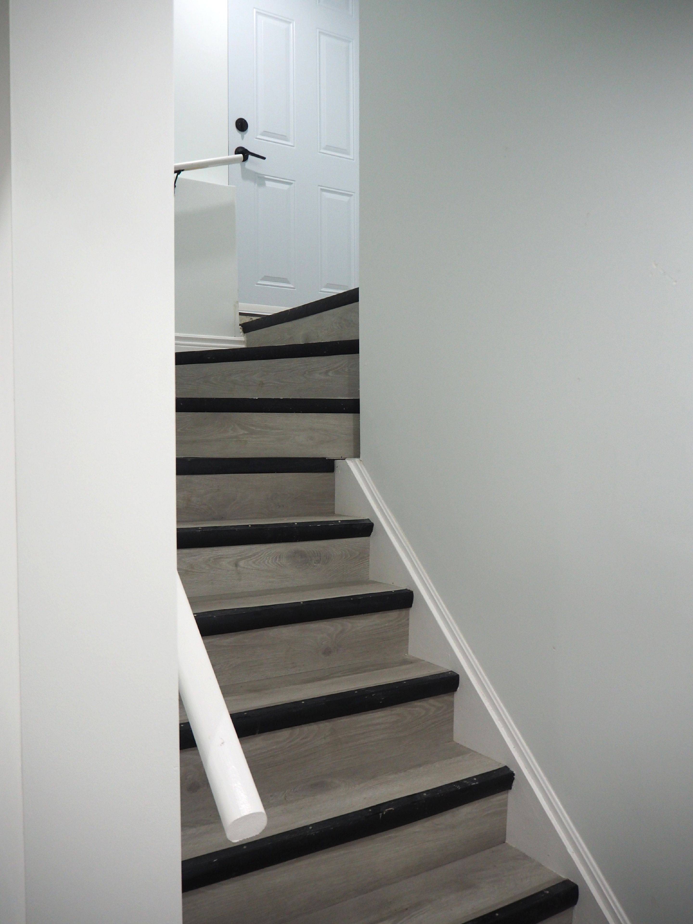 Hamilton, ON L8K 3V5,8 Knowles ST #BSMT