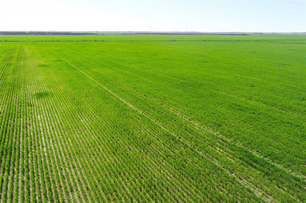 Vernon, TX 76384,TBD County Rd 81 S