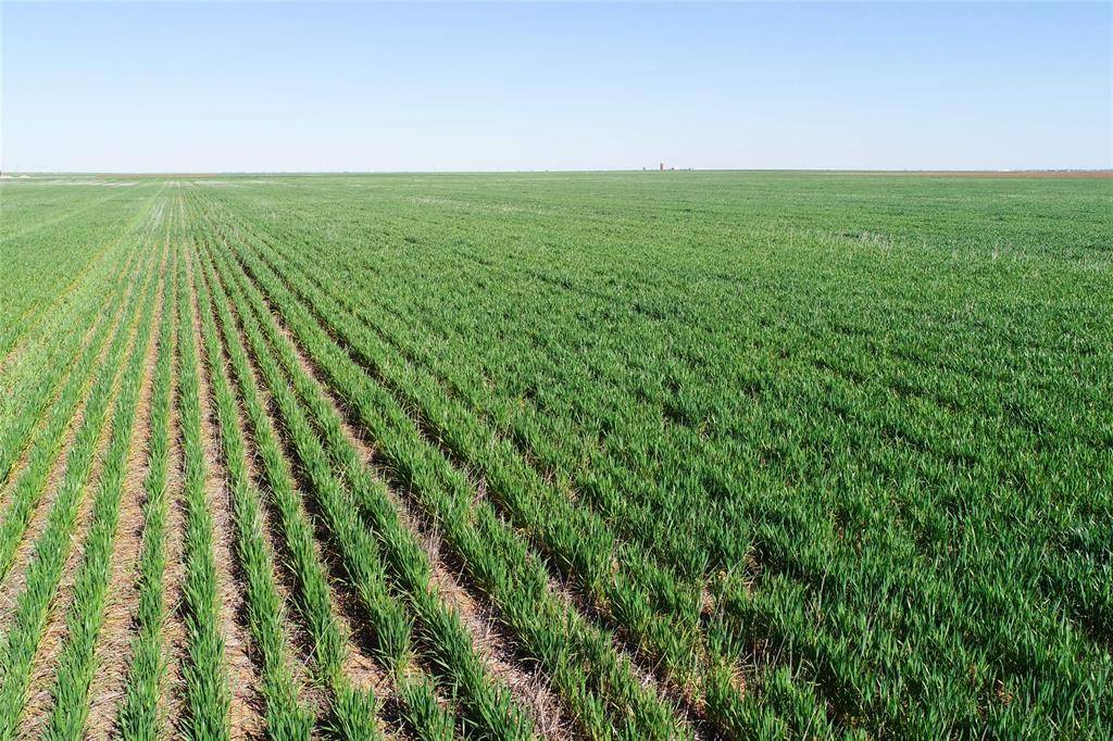 Vernon, TX 76384,TBD County Rd 81 S