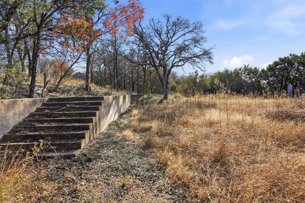 Cresson, TX 76035,113 Overlook Court