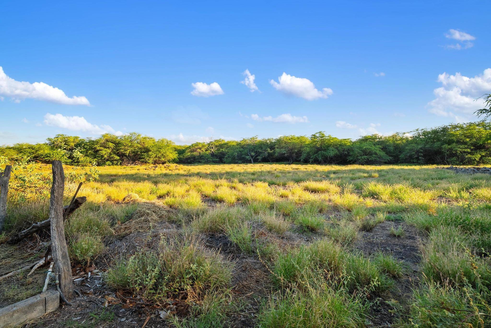 Kamuela, HI 96743,69-1765 PUAKO BEACH DR