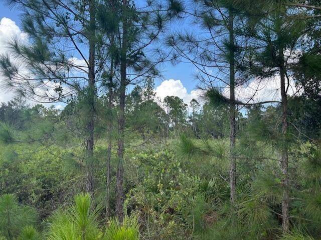 Kathleen, FL 33849,0 County RD 54 E