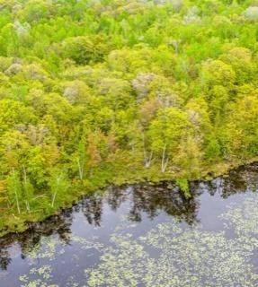 Severn, ON L0K 1E0,3600 Narrows RD #Unit #Lot 12