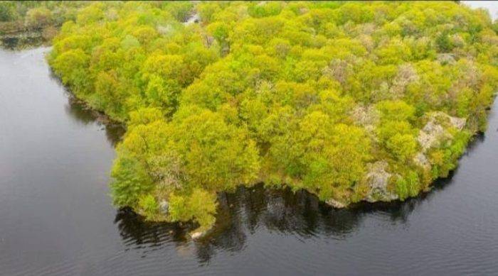 Severn, ON L0K 1E0,3600 Narrows RD #Unit #Lot 12