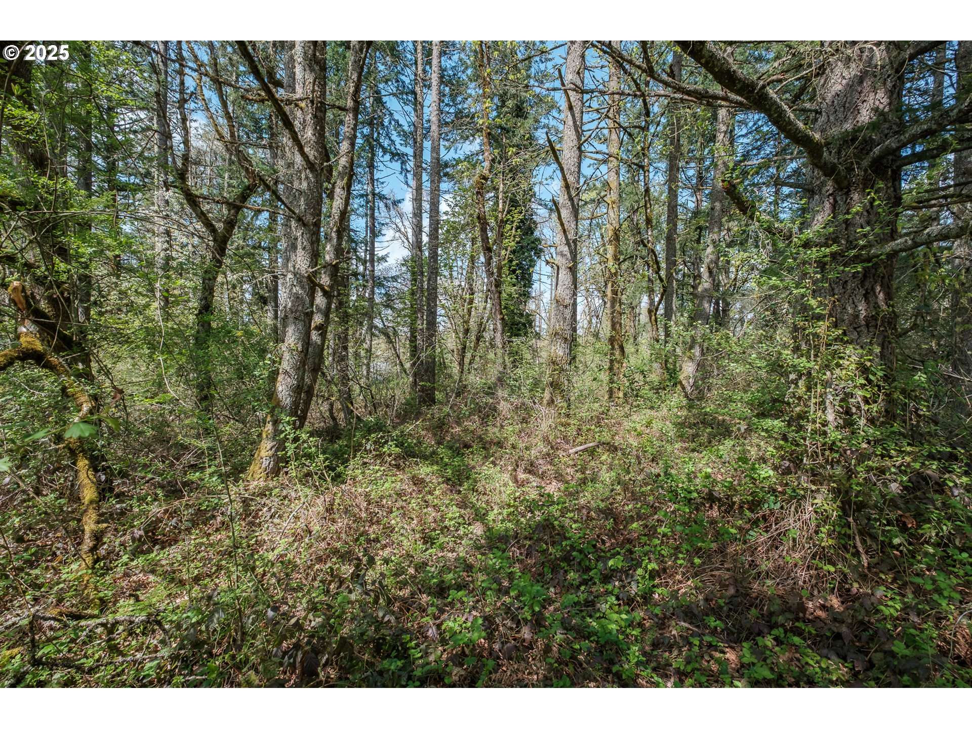 Albany, OR 97321,Valley View Dr NW