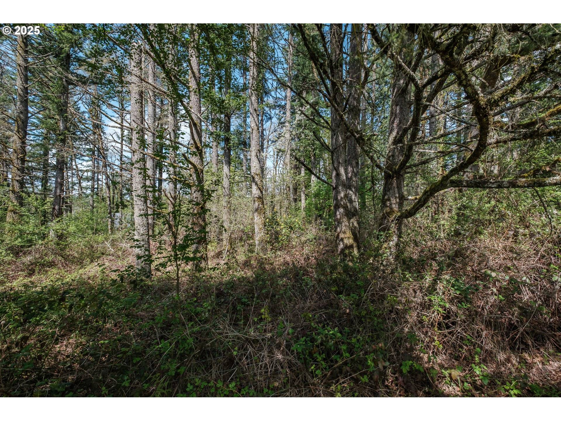 Albany, OR 97321,Valley View Dr NW