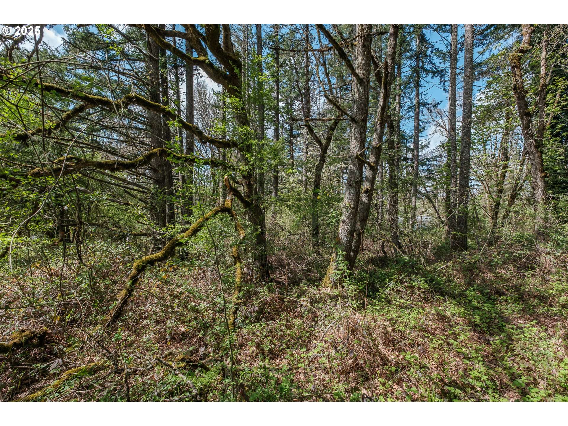 Albany, OR 97321,Valley View Dr NW