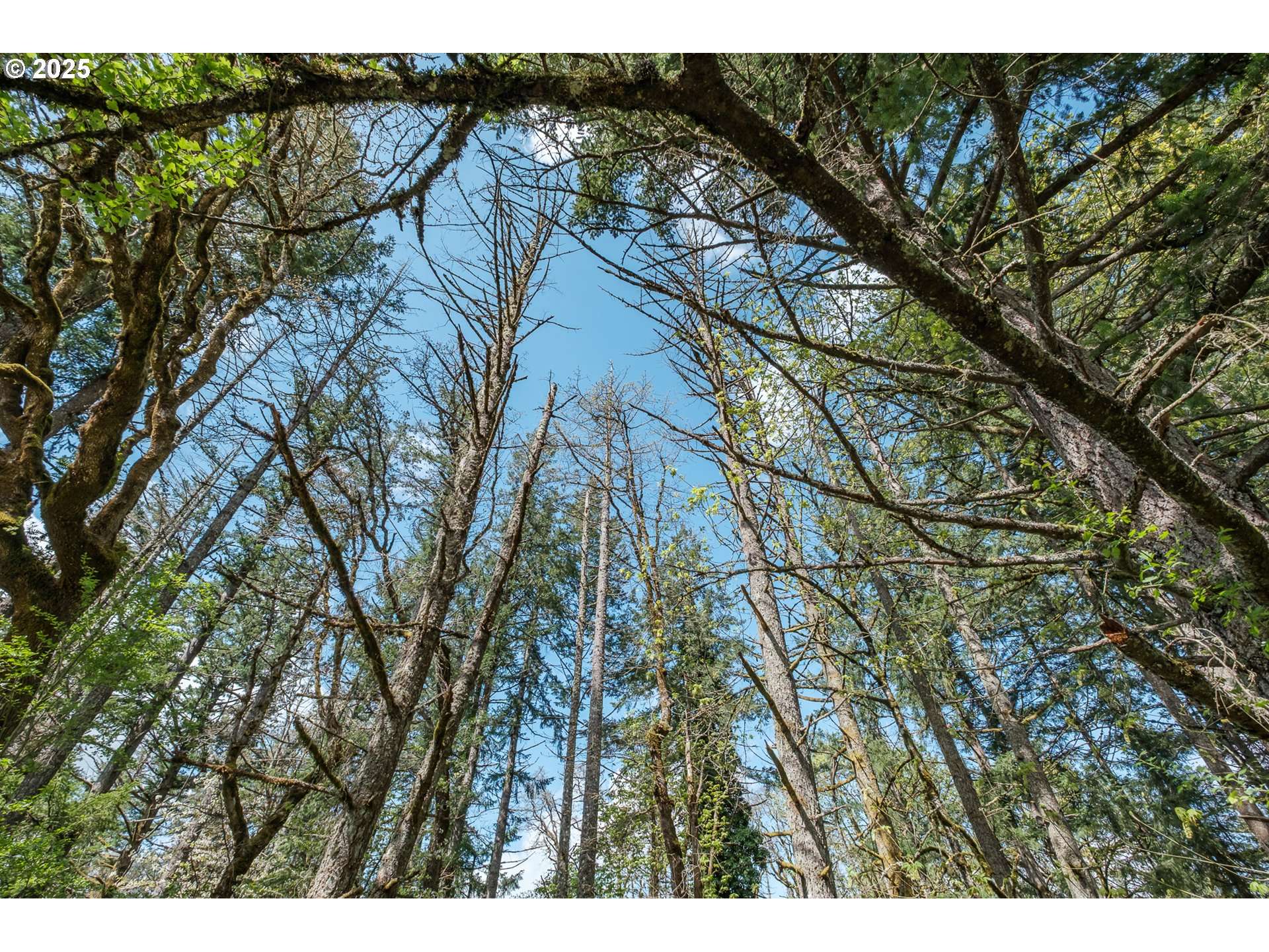 Albany, OR 97321,Valley View Dr NW