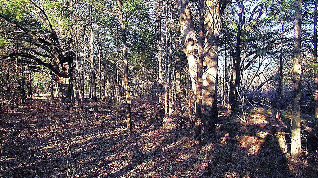 Cumby, TX 75433,TBD County Road 4736