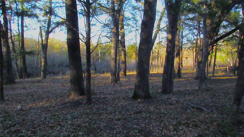 Cumby, TX 75433,TBD County Road 4736